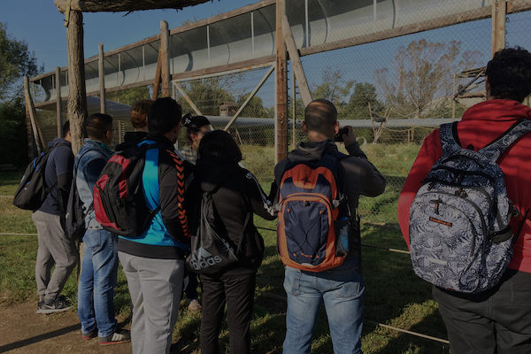 Visites per a associacions i entitats