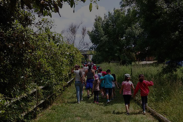 Tallers i visites per a casals juvenils