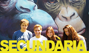 secundaria