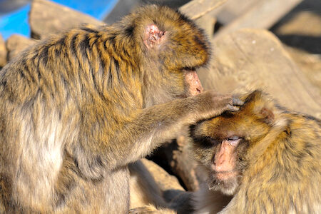 investigacio8-450x300